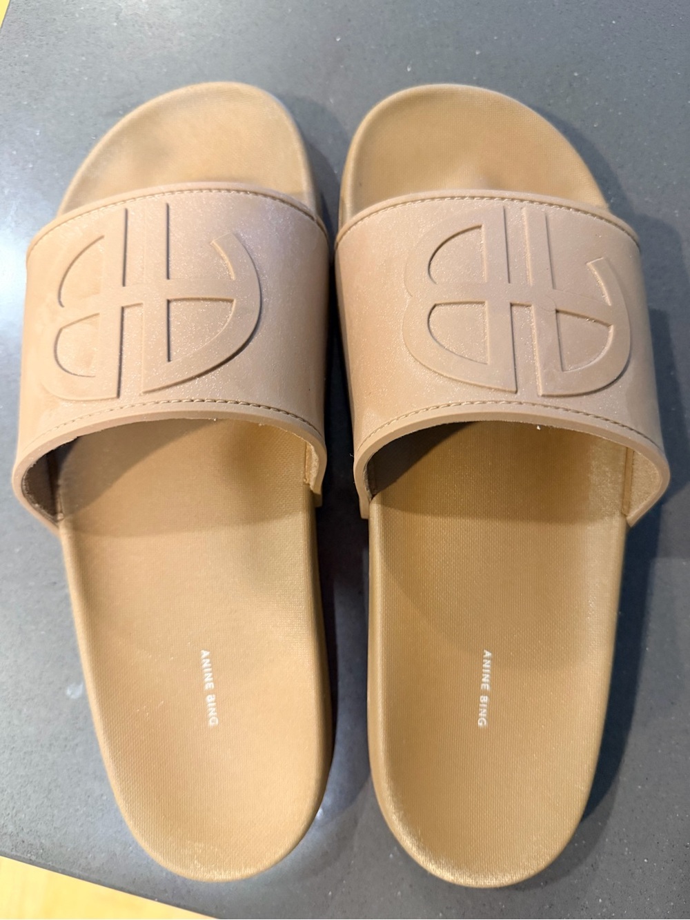 Anine Bing Tan Rubber Slide